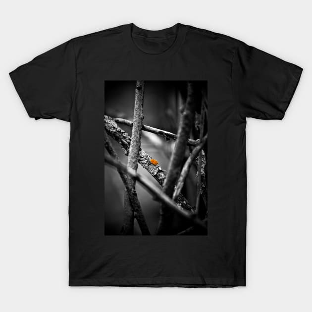 the wailing limb T-Shirt by blumwurks